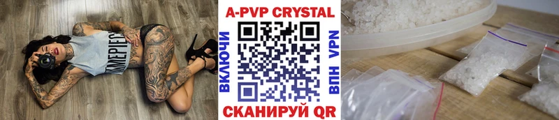 A PVP СК КРИС  закладка  Горбатов 
