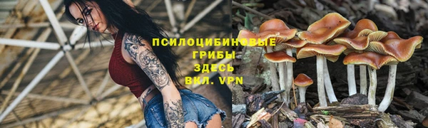 прущая мука Верея